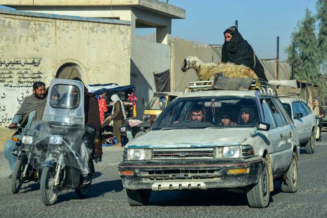 An Afghan man sits with a sheep atop a vehicle in Kandahar on December 1, 2025. (Photo by Sanaullah SEIAM / AFP)