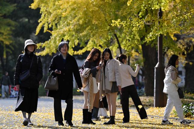 People walk below autumn leaves in Hibiya park in Tokyo on December 2, 2025. (Photo by GREG BAKER / AFP)