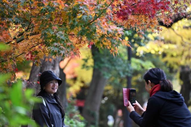 A woman poses for photos with autumn leaves in Hibiya park in Tokyo on December 2, 2025. (Photo by GREG BAKER / AFP)