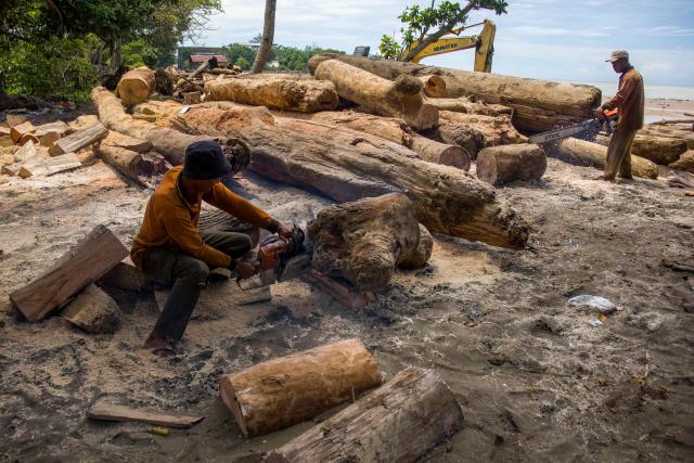 Environmental agency workers clean up piles of logs washed ashore on Padang beach, West Sumatra, on December 2, 2025, after being swept along by the flash floods that struck the region. Governments and aid groups in Indonesia and Sri Lanka worked to rush aid December 2 to hundreds of thousands stranded by deadly flooding that has killed around 1,200 people in four countries. (Photo by REZAN SOLEH / AFP)