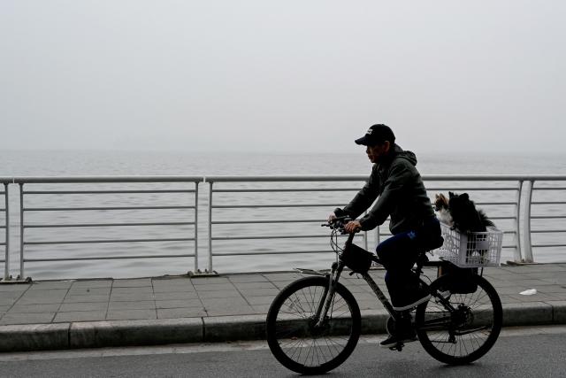 A man rides a bicycle carrying dogs amid heavy air pollution conditions along West Lake in Hanoi on November 3, 2025. (Photo by Nhac NGUYEN / AFP)
