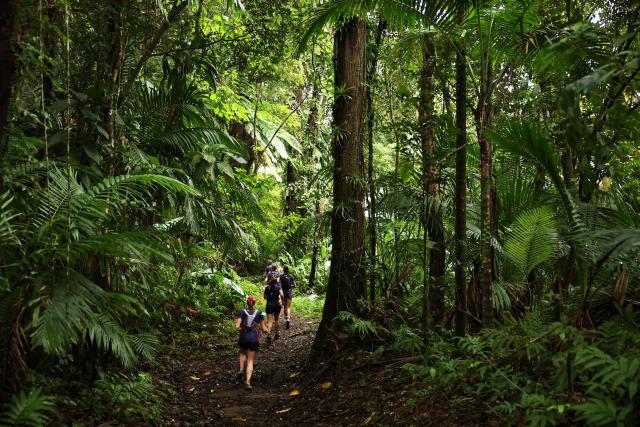 Competitors take part in a trail race on the Montagne Pelee as part of the "Raid des Alizes", an exclusively all-female multi sport competition, on the French Caribbean island of Martinique, on November 28, 2025. The all-female event features running, mountain biking, kayaking, and trekking events with each team representing a charity project of their choice, with the overall ranking determining the prize money which will be directly donated to the charities. (Photo by Anne-Christine POUJOULAT / AFP)
