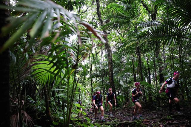 Competitors take part in a trail race on the Montagne Pelee as part of the "Raid des Alizes", an exclusively all-female multi sport competition, on the French Caribbean island of Martinique, on November 28, 2025. The all-female event features running, mountain biking, kayaking, and trekking events with each team representing a charity project of their choice, with the overall ranking determining the prize money which will be directly donated to the charities. (Photo by Anne-Christine POUJOULAT / AFP)