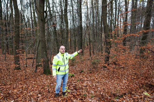 Martin Ledwon, Vice President Marketing, Sustainability & Communications of UPM Biorefining & Technology stands next to some beech trees in a forest near Annarode on November 14, 2025. Looking at a pile of freshly cut beechwood, forest manager Johannes Brodowski wonders if he is looking at the future of Germany's chemicals industry. Finnish materials group UPM unveiled a refinery in the east German state of Saxony-Anhalt in the summer, taking a big risk on a 1.3 billion euro project ($1.5 billion) at a difficult time for the German chemicals sector. (Photo by JENS SCHLUETER / AFP) / TO GO WITH AFP STORY