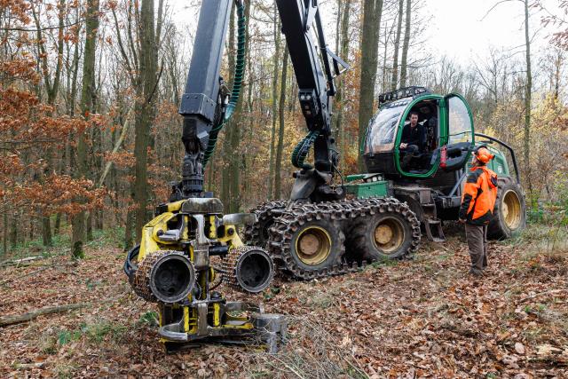 A harvesting machine for trees stands in a forest near Annarode on November 14, 2025. Looking at a pile of freshly cut beechwood, forest manager Johannes Brodowski wonders if he is looking at the future of Germany's chemicals industry. Finnish materials group UPM unveiled a refinery in the east German state of Saxony-Anhalt in the summer, taking a big risk on a 1.3 billion euro project ($1.5 billion) at a difficult time for the German chemicals sector. (Photo by JENS SCHLUETER / AFP) / TO GO WITH AFP STORY