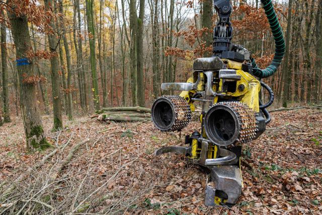 A harvesting machine for trees stands in a forest near Annarode on November 14, 2025. Looking at a pile of freshly cut beechwood, forest manager Johannes Brodowski wonders if he is looking at the future of Germany's chemicals industry. Finnish materials group UPM unveiled a refinery in the east German state of Saxony-Anhalt in the summer, taking a big risk on a 1.3 billion euro project ($1.5 billion) at a difficult time for the German chemicals sector. (Photo by JENS SCHLUETER / AFP) / TO GO WITH AFP STORY