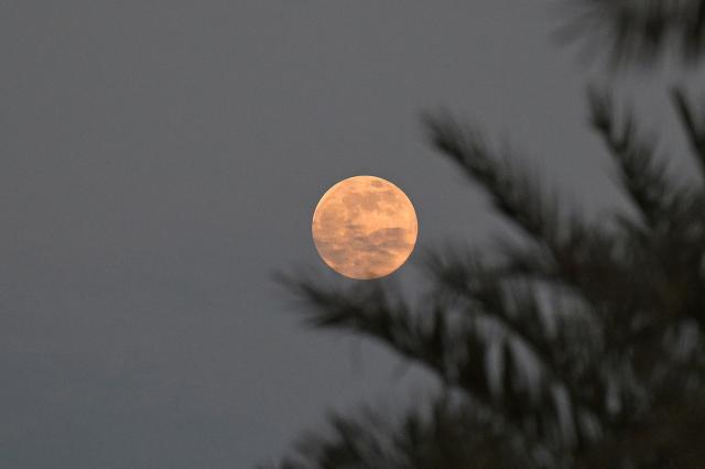 The full Cold Moon, the last supermoon of the year, rises over Kuwait City on December 4, 2025. (Photo by YASSER AL-ZAYYAT / AFP)