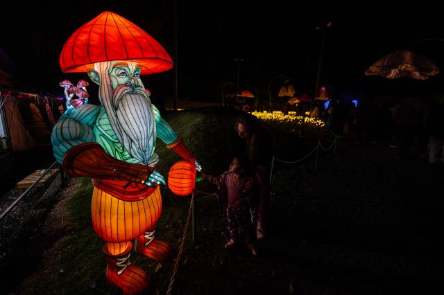 Visitors walk through the Brilla Light Festival as part of Christmas celebrations in Bogota on December 4, 2025. (Photo by Luis ACOSTA / AFP)