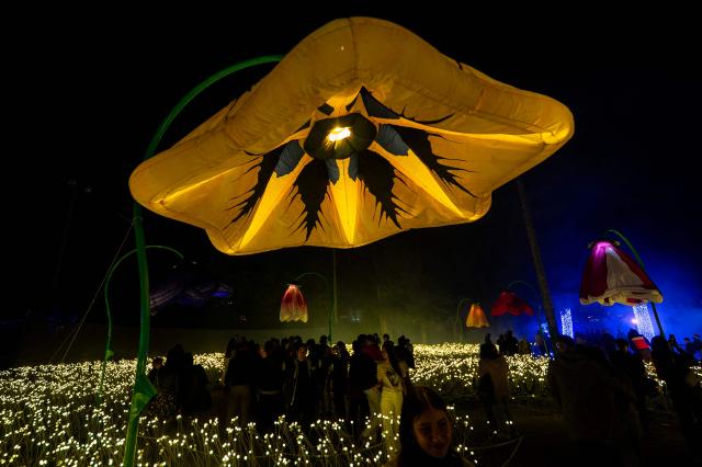 Visitors enjoy the Brilla Light Festival as part of Christmas celebrations in Bogota on December 4, 2025. (Photo by Luis ACOSTA / AFP)