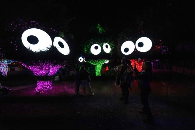 Visitors enjoy the Brilla Light Festival as part of Christmas celebrations in Bogota on December 4, 2025. (Photo by Luis ACOSTA / AFP)
