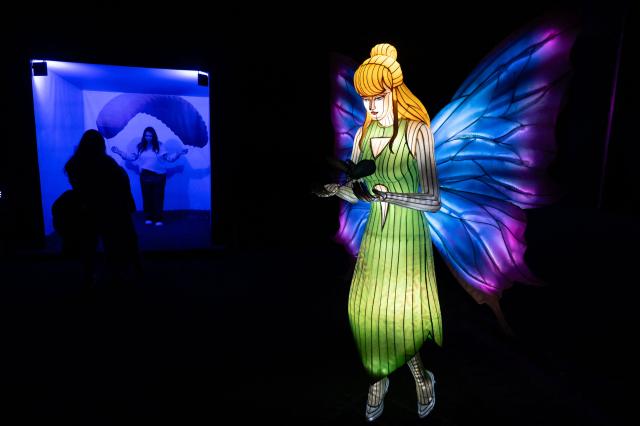 Visitors enjoy the Brilla Light Festival as part of Christmas celebrations in Bogota on December 4, 2025. (Photo by Luis ACOSTA / AFP)