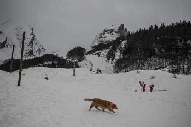 A dog walks at the base of the slopes at the Gourette ski resort near the Col d'Aubisque pass in the Pyrenees, south-western France on December 3, 2025. The family-oriented resort features one of the largest beginner areas in the Pyrenees and is a pioneer in the mountain range where skiing was first introduced in 1903 near Col d'Aubisque pass. (Photo by Philippe LOPEZ / AFP)