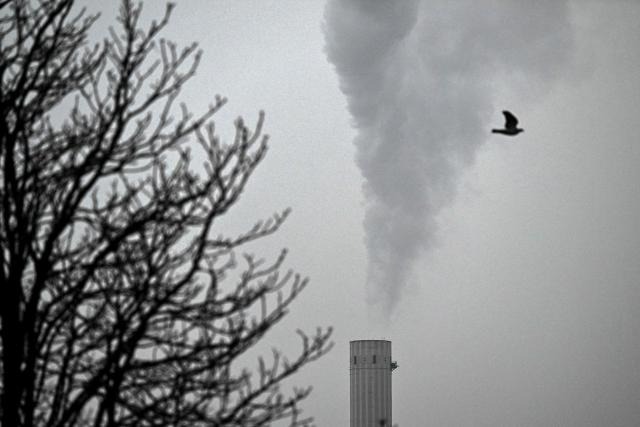 A bird crosses the cloudy sky as it flies past the chimney of an industrial enterprise in Frankfurt am Main, western Germany, on December 5, 2025. (Photo by Kirill KUDRYAVTSEV / AFP)
