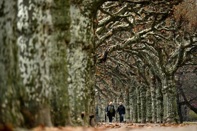 Women walk on an alley on the embankment of the river Main on a cloudy day in Frankfurt am Main, western Germany, on December 5, 2025. (Photo by Kirill KUDRYAVTSEV / AFP)