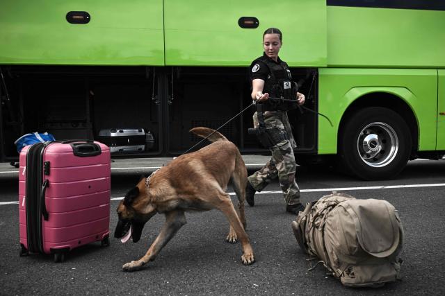 (FILES) A French gendarme leads her sniffer Belgian Malinois dog through the suitcases of bus passengers during the summer vacation rush hour on a freeway service area in Sainte-Colombe-en-Bruilhois, some 12kms from Agen, southwestern France, on August 3, 2024. Avoiding tighter controls in European ports, cocaine trafficking is increasingly taking to the roads from Spain, with ‘exponential’ seizures in Nouvelle-Aquitaine, which investigators see as symbolic of a new modus operandi for drug trafficking. According to the Anti-Drug Office (Ofast), the quantities of cocaine seized by the French authorities, including the French Navy, have already exceeded the record set in 2024: more than 70 tonnes between January and September, compared with 54 tonnes for the whole of last year and 23 tonnes the year before - already a record at the time. (Photo by Philippe Lopez / AFP)