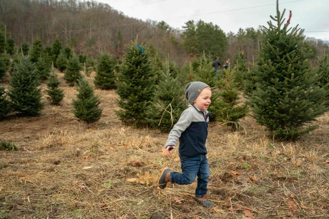 A boy runs as his family shops for a Christmas tree at the Trinity Tree Company-Avery Farms, in the small town of Newland, in the Blue Ridge Mountains of North Carolina, on December 6, 2025. According to the North Carolina Department of Agriculture, the state grows more than 26% of the Christmas trees in the US and is ranked second in the nation in number of trees harvested. More than 40,000 acres is estimated to be in Christmas tree production. (Photo by Allison Joyce / AFP)