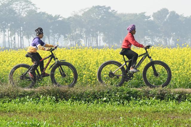 Boys ride bicycles past a mustard field on the outskirts of Amritsar on December 7, 2025. (Photo by Narinder NANU / AFP)