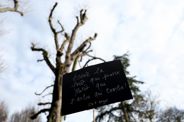 A signs hanging from a tree reads "Listen to the forest growing rather than the forest falling” during a gathering of an environmental collective opposing tree felling at the Faucherie forest in order to comply with European aviation safety regulations, at the Faucherie forest near La Rochelle airport, south-western France, on December 7, 2025. (Photo by ROMAIN PERROCHEAU / AFP)