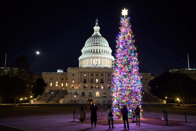 The 2025 Capitol Christmas tree is seen on the north lawn of the US Capitol in Washington, DC, on December 7, 2025. This year's tree is 53-foot, 16 meter tall, red fir from the Humboldt-Toiyabe National Forest of Nevada. (Photo by MANDEL NGAN / AFP)
