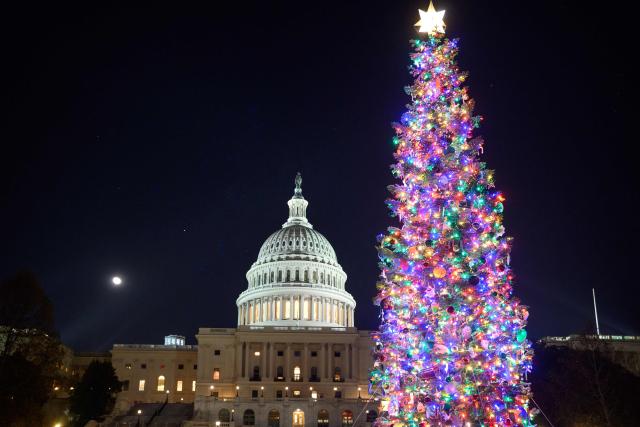 The 2025 Capitol Christmas tree is seen on the north lawn of the US Capitol in Washington, DC, on December 7, 2025. This year's tree is 53-foot, 16 meter tall, red fir from the Humboldt-Toiyabe National Forest of Nevada. (Photo by MANDEL NGAN / AFP)