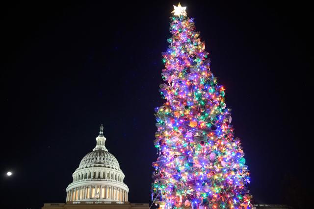 The 2025 Capitol Christmas tree is seen on the north lawn of the US Capitol in Washington, DC, on December 7, 2025. This year's tree is 53-foot, 16 meter tall, red fir from the Humboldt-Toiyabe National Forest of Nevada. (Photo by MANDEL NGAN / AFP)