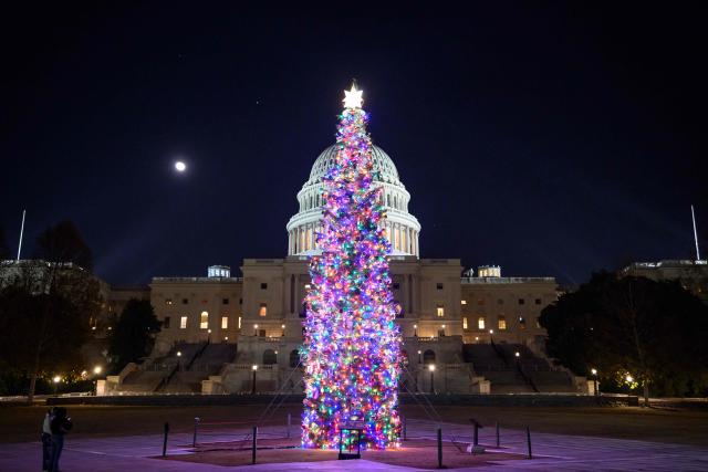 The 2025 Capitol Christmas tree is seen on the north lawn of the US Capitol in Washington, DC, on December 7, 2025. This year's tree is 53-foot, 16 meter tall, red fir from the Humboldt-Toiyabe National Forest of Nevada. (Photo by MANDEL NGAN / AFP)