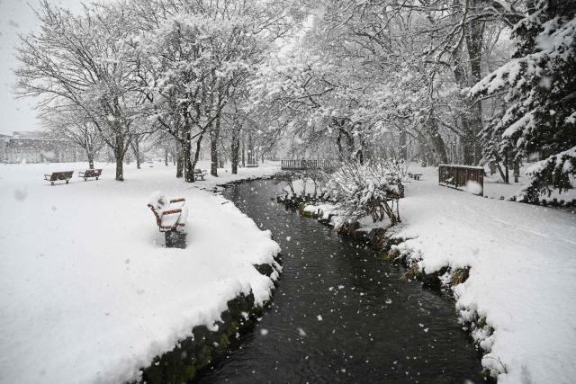 Snow falls at a scenic spot in Chitose, in Japan’s northern Hokkaido prefecture on December 8, 2025. (Photo by GREG BAKER / AFP)