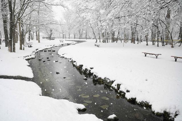 Snow falls at a scenic spot in Chitose, in Japan’s northern Hokkaido prefecture on December 8, 2025. (Photo by GREG BAKER / AFP)