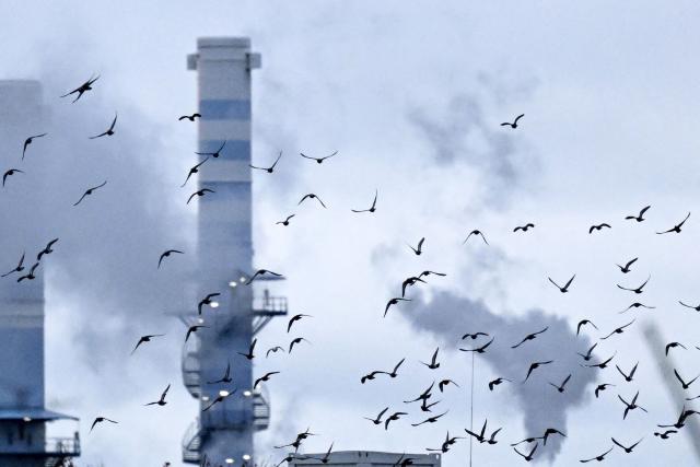 Birds fly over an industrial area of chemical companies in Frankfurt am Main, western Germany, on December 8, 2025. (Photo by Kirill KUDRYAVTSEV / AFP)