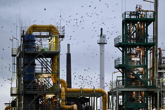 Birds fly over an industrial area of chemical companies in Frankfurt am Main, western Germany, on December 8, 2025. (Photo by Kirill KUDRYAVTSEV / AFP)