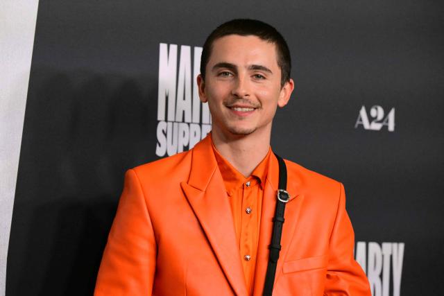 US-French actor Timothee Chalamet attends the premiere of "Marty Supreme" in Los Angeles, California, on December 8, 2025. (Photo by Frederic J. Brown / AFP)