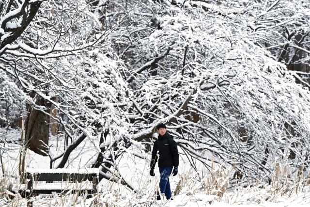 A man walks in the grounds of Hokkaido University after an overnight snowfall in Sapporo, in Japan’s northern Hokkaido prefecture on December 9, 2025. (Photo by GREG BAKER / AFP)