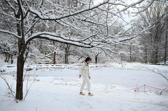 A man walks past a frozen pond in the grounds of Hokkaido University after an overnight snowfall in Sapporo, in Japan’s northern Hokkaido prefecture on December 9, 2025. (Photo by GREG BAKER / AFP)