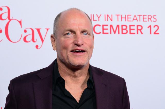 US actor Woody Harrelson attends the world premiere of 20th Century Studios' "Ella McCay" at the El Capitan Theatre in Hollywood, California, on December 9, 2025. (Photo by Frederic J. BROWN / AFP)