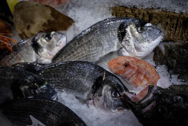 This photograph taken on December 10, 2025 shows various fishes displayed at the fish pavilion of the Rungis International Market, in Rungis, south outskirts of Paris. The world's leading fresh produce market, Rungis International Market covers 234 hectares, with 1,200 companies, 13,000 workers, 3 million tons of goods, and sales of 10 billion euros, of which fruit and vegetables account for the largest share. (Photo by STEPHANE DE SAKUTIN / AFP)