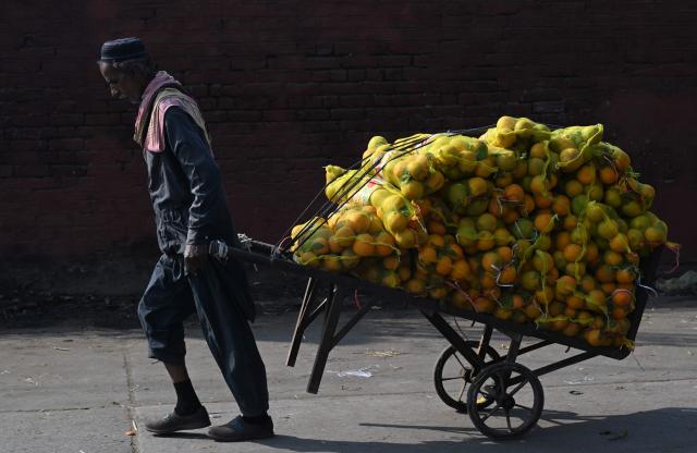 A labourer carries oranges at a fruit market in Lahore on December 11, 2025. (Photo by Arif ALI / AFP)