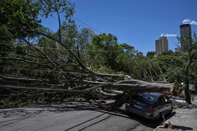 View of a fallen trees over a car on a street after strong winds, in Sao Paulo, Brazil, on December 11, 2025. (Photo by Nelson ALMEIDA / AFP)