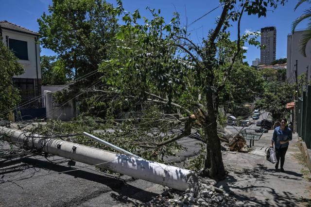 A woman walks near fallen trees on a street after strong winds, in Sao Paulo, Brazil, on December 11, 2025. (Photo by Nelson ALMEIDA / AFP)