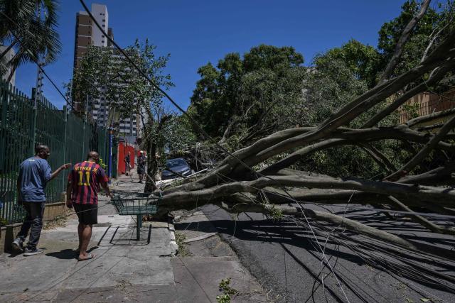 Men walk near fallen trees on a street after strong winds, in Sao Paulo, Brazil, on December 11, 2025. (Photo by Nelson ALMEIDA / AFP)