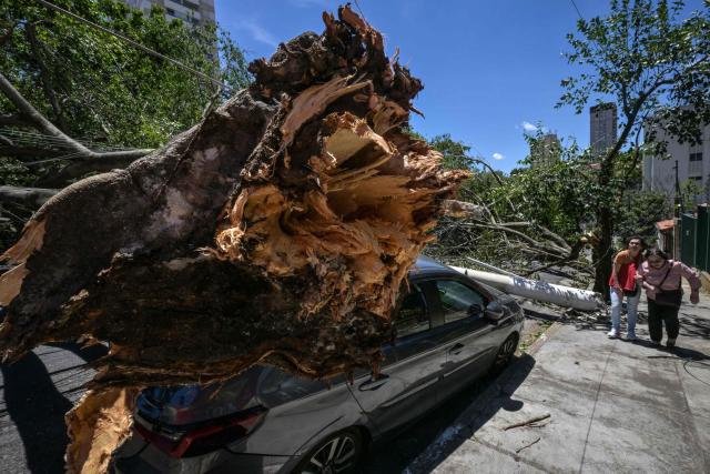 Passers-by walk past fallen trees following strong winds, in Sao Paulo, Brazil, on December 11, 2025. (Photo by Nelson ALMEIDA / AFP)