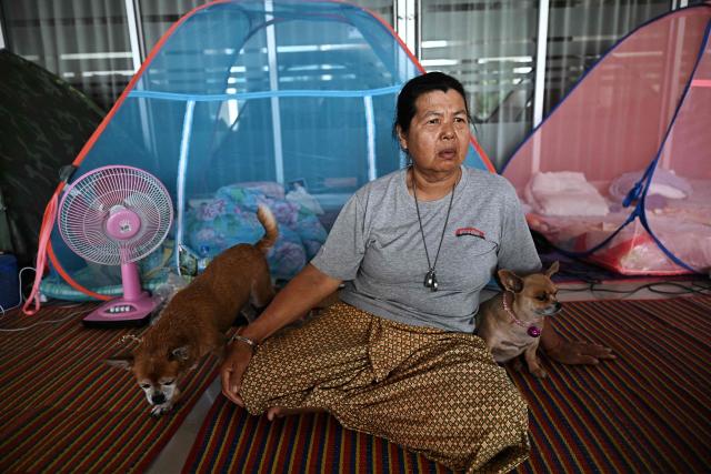Farmer Santhong Appahang rests with her dogs at an evacuation center in the Thai border province of Surin on December 12, 2025. At least 20 people have been killed in the latest round of border fighting that reignited last week, officials said. (Photo by Lillian SUWANRUMPHA / AFP)