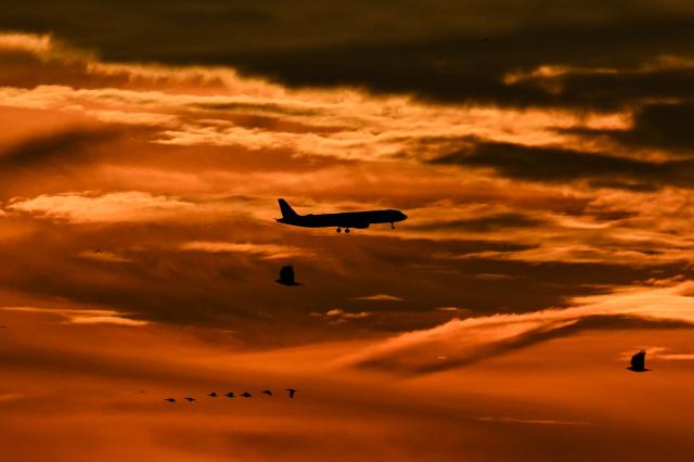 An airplane is pictured in the cloudy sky before landing at the Frankfurt airport during sunrise in Frankfurt am Main, western Germany, on December 12, 2025. (Photo by Kirill KUDRYAVTSEV / AFP)
