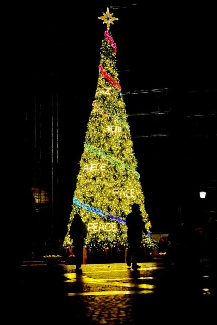 A Christmas tree bearing the word "peace" written in all the languages, is seen in Rome's City Hall Square Piazza del Capidoglio on December 13, 2025. (Photo by Filippo MONTEFORTE / AFP)
