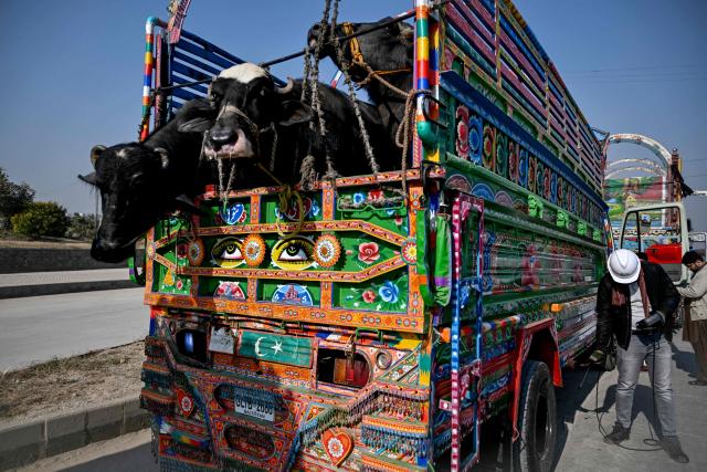 This picture taken on December 10, 2025, shows technician Waleed Ahmed (2R) examining a vehicle to test its emissions on road, on the outskirts of Islamabad. Checkpoints set up this month are part of a crackdown by authorities to combat the city's soaring smog levels, with winter months the worst due to atmospheric inversions that trap pollutants at ground level. While not yet at the extreme winter levels of Lahore or the megacity Karachi, where heavy industry and brick kilns spew tons of pollutants each year, Islamabad is steadily closing the gap. (Photo by Aamir QURESHI / AFP)