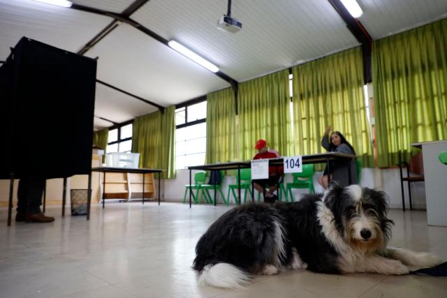 A dog is seen at a polling station during the presidential runoff election in Santiago on December 14, 2025. Chileans head to the polls for a presidential runoff between Jeannette Jara, a communist backed by a broad left coalition, and Jose Antonio Kast, a devout far-right politico promising a hard line on security and migration. (Photo by Raul BRAVO / AFP)