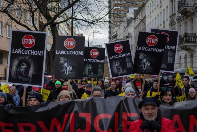 Participants hold banners reading "Stop Chains" during a demonstration on December 14, 2025  in Warsaw, against the Polish President's veto of the so-called “Chain Law,” which was intended to ban keeping dogs on chains in Poland and regulate the minimum space and conditions in which pets can be kept. (Photo by Wojtek RADWANSKI / AFP)