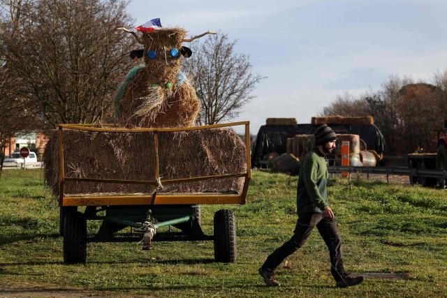 A man walks past bales of straw arranged to resemble a cow during as part of the fourth day of a blockade on the A64 motorway in protest against health measures put in place to eradicate lumpy skin disease affecting cattle, in Carbonne, south-western France, on December 15, 2025. (Photo by Valentine CHAPUIS / AFP)