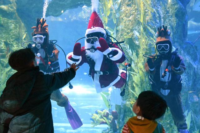 Divers clad in Santa Claus and assistant outfits wave to visitors during a Christmas-themed underwater show at Lotte World Aquarium in Seoul on December 16, 2025. (Photo by Jung Yeon-je / AFP)