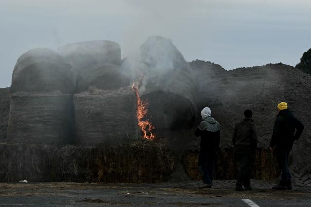 French farmers block the A63 motorway at the Cestas interchange in Gironde, south-western France on December 16, 2025, as part of nationwide action by farmers to protest against the government's mandatory culling protocol for cattle herds affected by lumpy skin disease (dermatose nodulaire contagieuse), a viral disease first detected in France in June 2025 that has led to the slaughter of over 3,000 cattle across more than 110 outbreaks nationwide, and against an EU trade deal with Mercosur countries. (Photo by Philippe LOPEZ / AFP)
