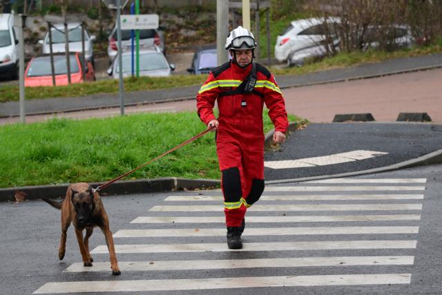 A French firefighter of the Ain department walks with a dog to conduct searches near the site of a residential building explosion in Trevoux on December 16, 2025. Search operations are set to resume December 16 morning in Trévoux, in the Ain department, in the rubble of a residential building where an explosion on December 15 killed two young children and left thirteen people injured. (Photo by Olivier CHASSIGNOLE / AFP)